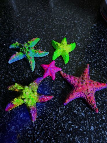 Зоотовары: 🌿 Украшения и декорации для аквариумов и террариумов 🌿 Продаю — 8