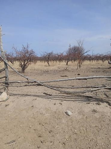 Продажа участков: 787 соток, Для сельского хозяйства, Красная книга, Договор купли-продажи — 10