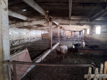 Продажа участков: 15 соток, Красная книга, Договор купли-продажи, Тех паспорт at lalafo.kg — 16 Продажа участков: 15 соток, Красная книга, Договор купли-продажи, Тех паспорт — 16