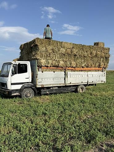 мерседес 1320: Mercedes-Benz : 1994 г., 6 л, Механика, Дизель — 5