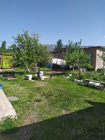 жаны уйлор: 🏡 ПРОДАЁТСЯ УЧАСТОК С ДОМОМ В С. БАЙТИК 🔥 ✨ Просторный участок с жилым — 1