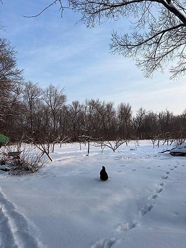 Продажа участков: 115 соток, Для бизнеса, Красная книга, Тех паспорт, Договор купли-продажи — 10