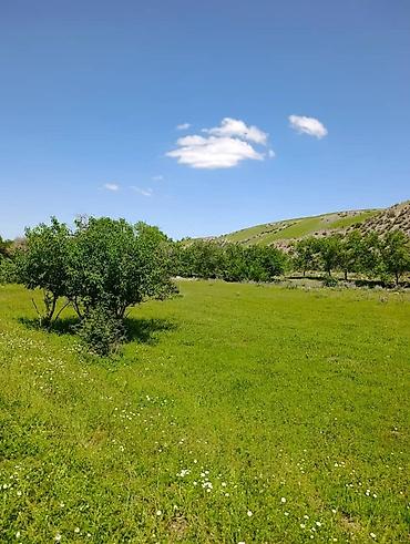 Продажа дачи: 2 комнаты, 40 м², 14 соток — 20