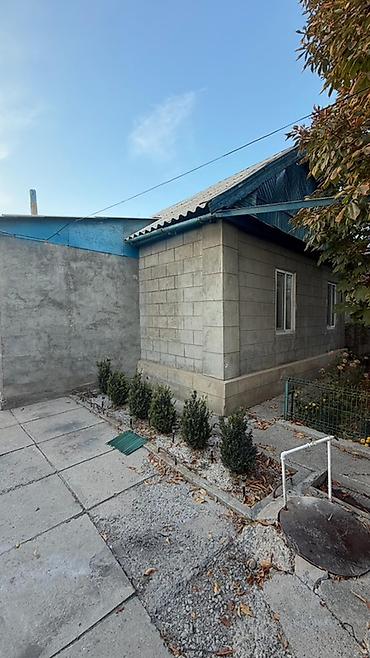 хата 3 комнатный: 3 комнаты, 60 м², 10 соток, Шопоков — 3