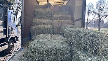 Корма для с/х животных: Сено в тюках 2 кос беде самовывоз - Формат: прямоугольные тюки — 1