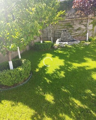 Дизайн, проектирование: Дизайн | Дома — 13