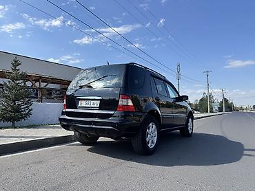 Mercedes-Benz: Mercedes-Benz M-Class: 2004 г., 3.7 л, Автомат, Газ, Внедорожник — 7