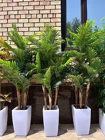 Декоративные цветы: 🌿 Mayram Decor KG — искусственные деревья, цветы и зелёные композиции — 4
