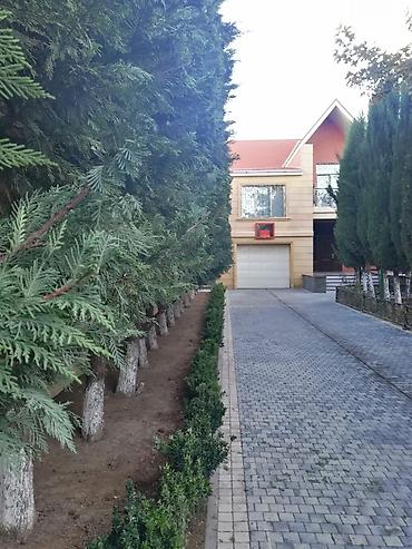 lan: Bağban, 44 yaş, 5 ildən artıq təcrübə — 10