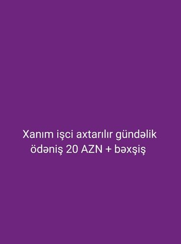ayiq surucu gence: Ofisiant