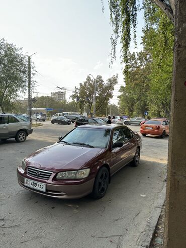 тойота 7 мест левый руль: Toyota Camry: 2000 г., 2.2 л, Автомат, Бензин, Седан