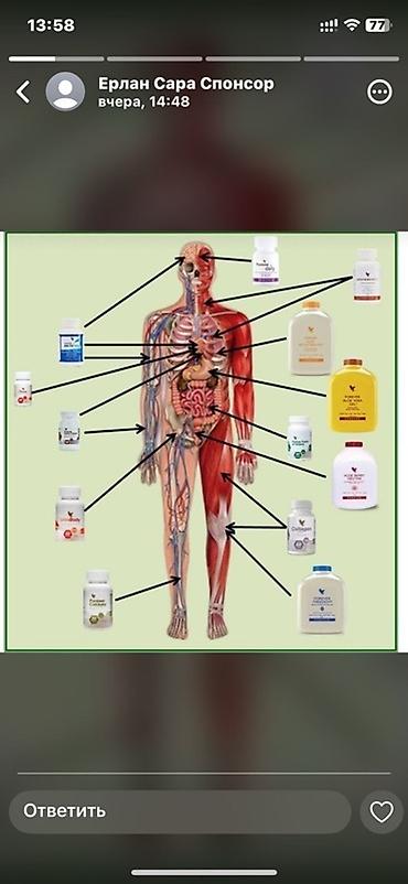 сливы девушек: Напитки и гели Forever Living на основе алоэ вера Ассортимент на — 4