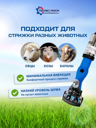 Товары и оборудование для с/х животных: Стрижка овец от компании «техномаш» профессиональный аппарат ( — 6
