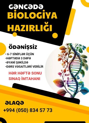 репетитор по математике недорого: GƏNCƏDƏ. Ödənişsiz. 6 və 7 sinif