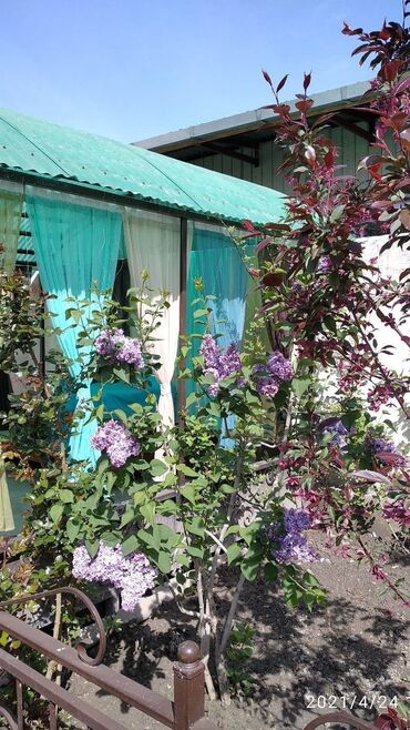 Туристические услуги: Bishkek hostel -coworking . Приглашаем в наш уютный хостел ✨ Максимум — 2