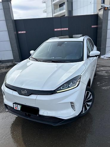 Weltmeister: Weltmeister EX5, 2019 г. — 2