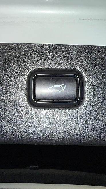 Hyundai: Hyundai Palisade: 2020 г., Кроссовер — 19