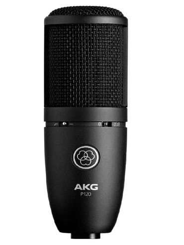 акустические системы generic с микрофоном: AKG P120 Заказывал с Германии, использовал только в домашней