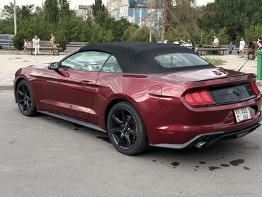 Ford: Ford Mustang: 2018 г., 2.3 л, Автомат, Бензиновая, Кабриолет — 9