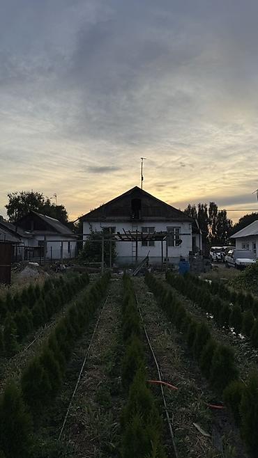 дом участка: Продаётся дом с участком и выездом на оживлённую асфальтированную — 6