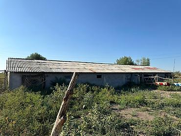 Продажа сельхоз предприятий: Продается Кошар на земельном участке площадью 1000,0 кв.м. Имеется at lalafo.kg — 7 Продажа сельхоз предприятий: Продается Кошар на земельном участке площадью 1000,0 кв.м. Имеется — 7
