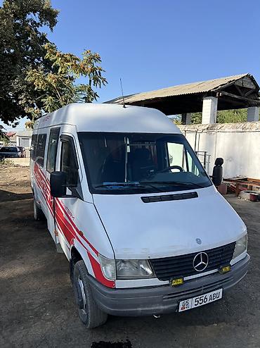 Mercedes-Benz: Mercedes-Benz Спринтер: 1999 г., 2.9 л, Механика, Дизель, Бус — 1
