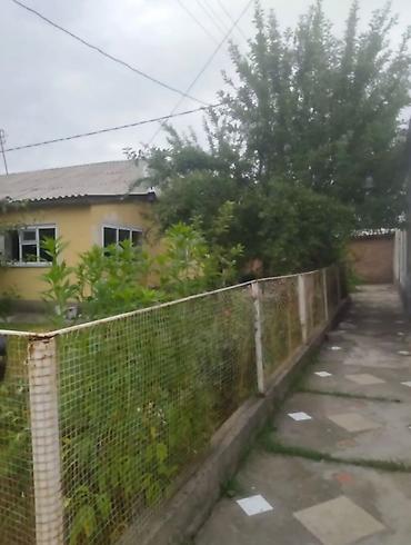 купит дом: Сдаю частный дом в Караколе более подробную информацию можете узнать — 1