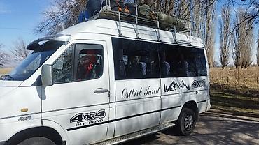 мерс титан 15: Автобус, Mercedes-Benz, 2001 г., 2.2 л, до 15 мест — 8