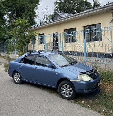 тайета камри: Toyota Corolla: 2003 г., 1.6 л, Механика, Бензин, Седан