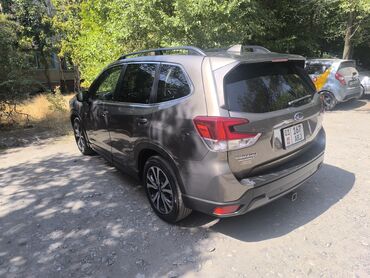 Subaru: Subaru Forester: 2019 г., Кроссовер — 3