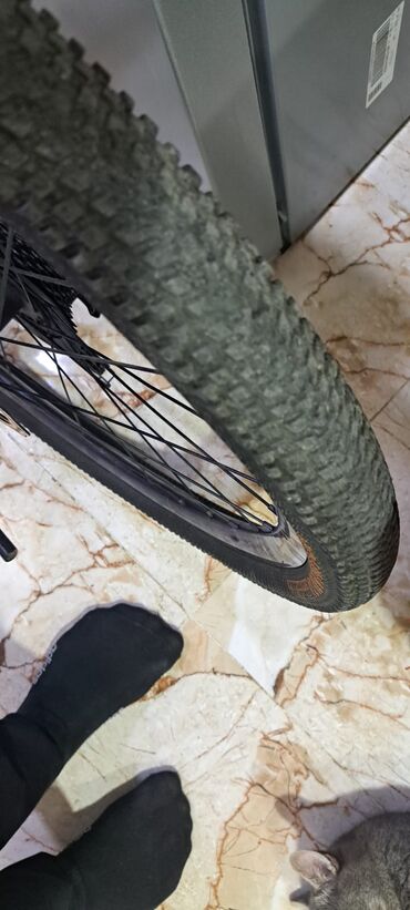 İdman velosipedləri: Salam aleykum: - velo tekerler teze alınıb tormuzlar qoz kimi işləyir — 14