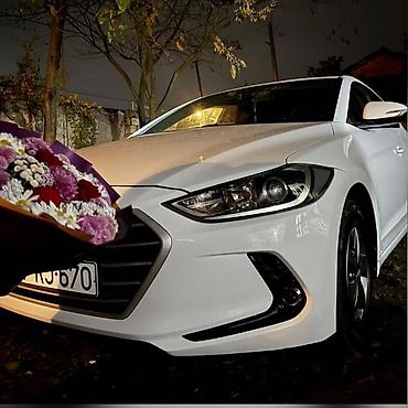 daewoo baki satis merkezi: Hyundai Avante: 1.6 l | 2017 il Sedan — 5