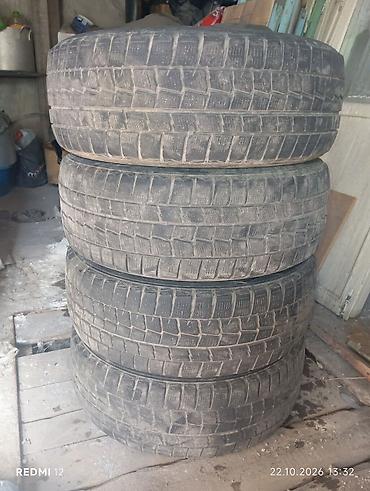 265 30 19: Комплект зимних шин Dunlop 215/55 R17 94Q - Количество: 4 шт. (на — 2