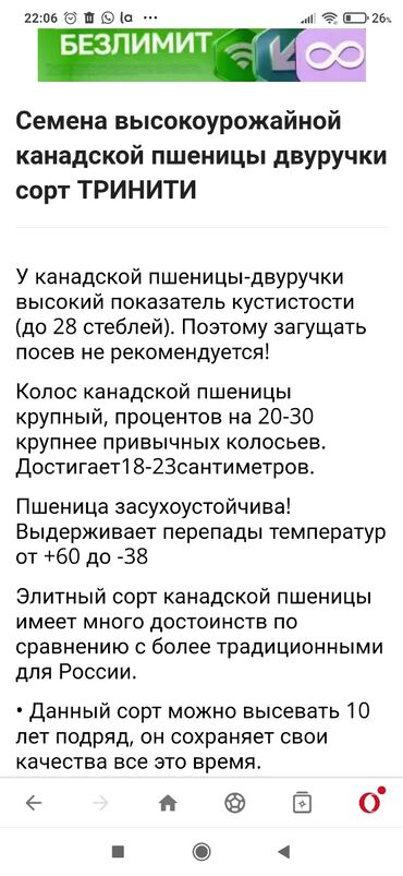 продаю пшеницу: Продаю семена канадской пшеницы сорт Тринити двуручка.Норма высева