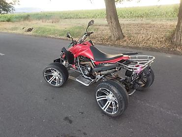 Квадроциклы: Квадроцикл Бензин, 250 куб. см, Взрослый at lalafo.kg — 13 Квадроциклы: Квадроцикл Бензин, 250 куб. см, Взрослый — 13