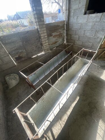 декаротивные кролики: Кормушки для сельскохозяйственных животных Аштоо койго, козуга