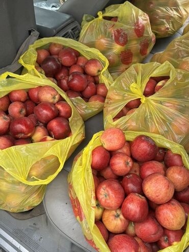 мешки для овощей: Алмалар Превосход, Чекене