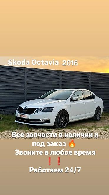 Skoda: Запчасти для Skoda Octavia 2016 - Все запчасти в наличии и под заказ — 1