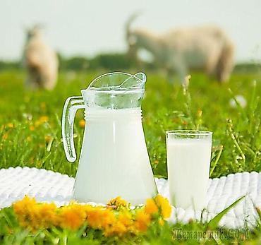 козлу кой: Козье молоко, Домашнее, В розницу — 1