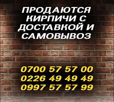 петухи даканы: Пустотелый, дырчатый, Жженый кирпич, Полублок, 250×120×90 — 2