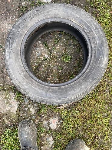 82 2: Зимняя шина Dunlop, размер 205/65 R16, индекс нагрузки 95Q. - Тип — 3