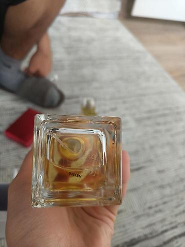 roberto cavalli: Dolce & Gabbana Fruit Collection — Orange, туалетная вода. - — 2