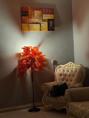 Günlük kirayə mənzillər: 2 otaqlı — 13