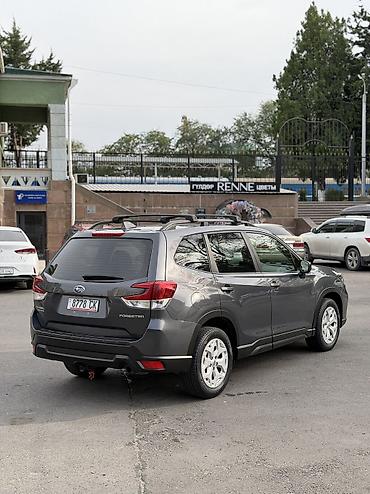 forester: Subaru Forester: 2020 г., 2.5 л, Вариатор, Бензин, Внедорожник — 6