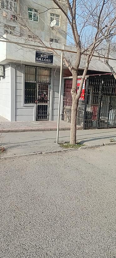 masaj salonu bakü: Qadın saç ustaları | Saç kəsimi — 5