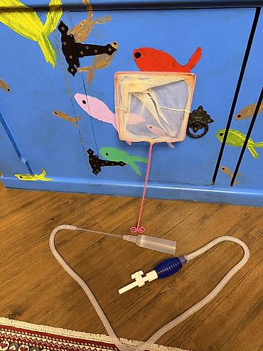 Akvariumlar: Продается аквариум 2 м с рыбами все вместе рыбы декор и — 13