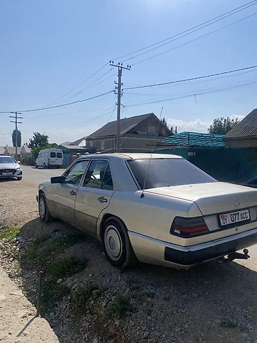 4355019 5: Mercedes-Benz W124: 1990 г., 2.9 л, Механика, Дизель, Седан — 2