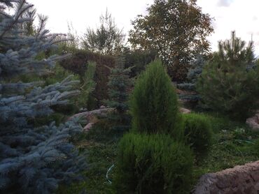 Продажа домов: Дом, 69 м², 5 комнат, Собственник — 5