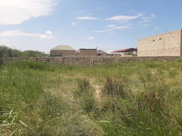 Kirayə torpaq sahələri: Tikinti