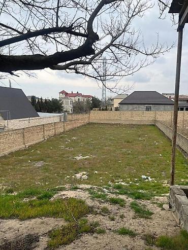 torpaa: Novxanı 4 otaqlı, 200 kv. m — 10